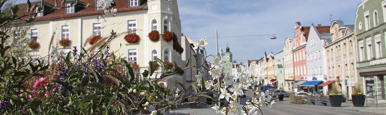 Headerbild 4